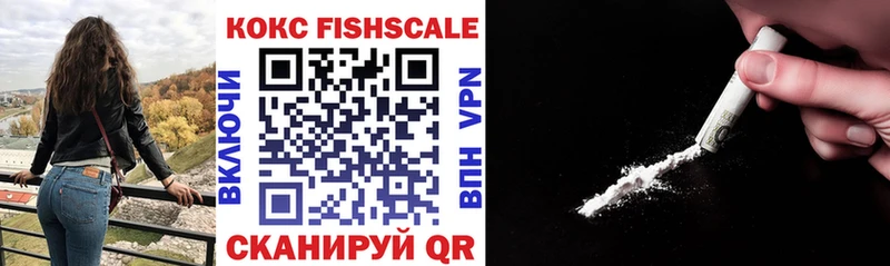 omg вход  Катайск  COCAIN Fish Scale  закладка 