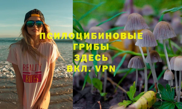 твердый Алзамай
